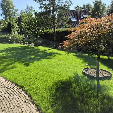 Bungalowpark Wighenerhorst - 49 Wijchen